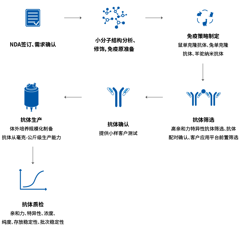 小分子抗体定制开发流程