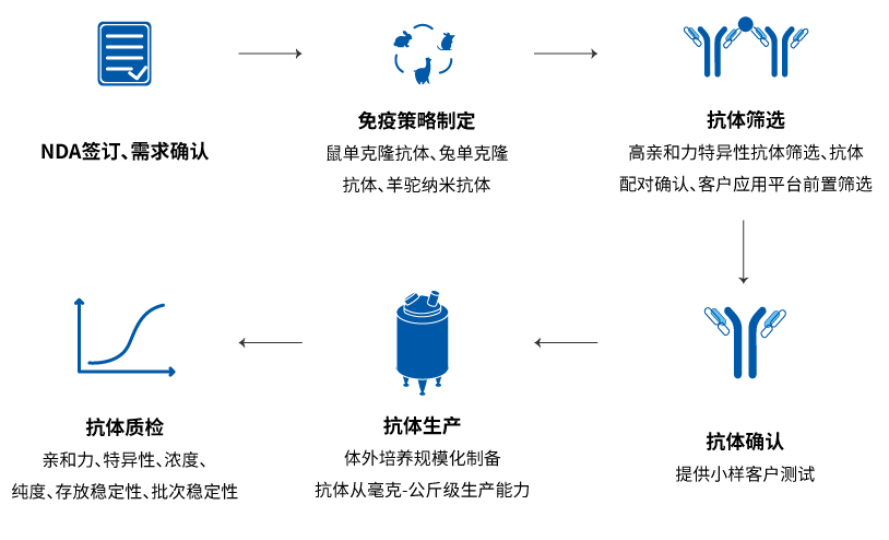配对抗体定制开发流程