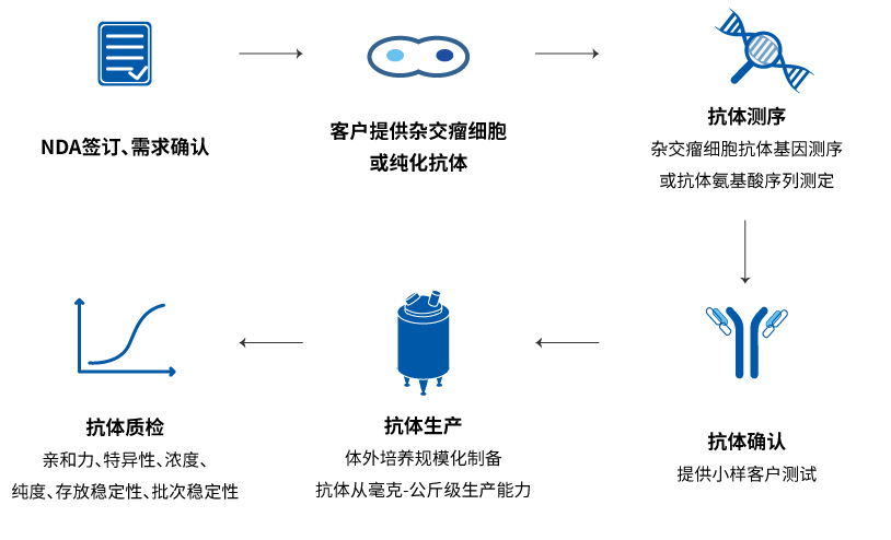 重组抗体定制开发流程