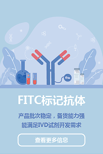 fitc抗体